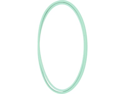 Fendt O-Ring für Planetengetriebe Vorderachse 4WD mit Reifendruckregelanlage Traktor Vario 900, F954301220220