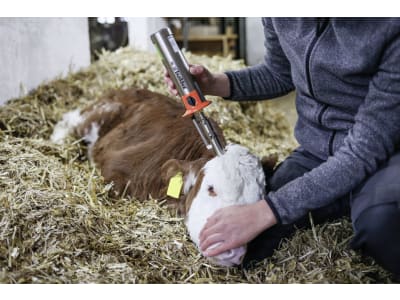 KERBL Enthornungsgerät "AirBuddex" ohne Gaskartusche, 1766-0