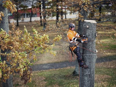 Husqvarna® Akku-Kettensäge "550i XP®" Schienenlänge 38 cm, ohne Akku/Ladegerät, 9707458-15