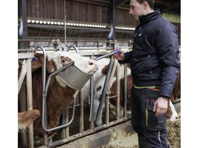 Vink Kopfstütze für Rinder, 2164