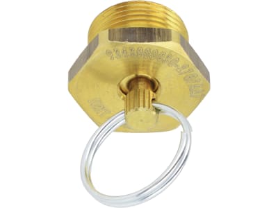 Wabco Entwässerungsventil M 22 x 1,5 AG, mit Schlüsselring, DIN 74292-C, für Luft, Wasser, Mineralöl, 934 300 003 0