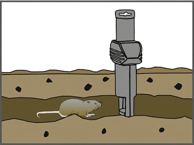 SWISSINNO Wühlmausfalle "SuperCat" 1 St., 70993