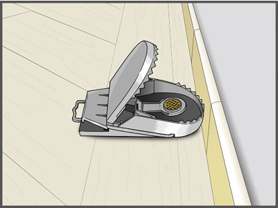 SWISSINNO Rattenfalle "SuperCat" 1 St., 70980
