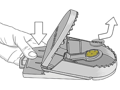 SWISSINNO Rattenfalle "SuperCat" 1 St., 70980