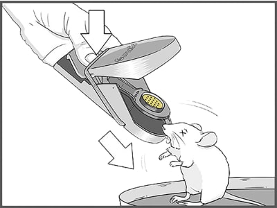 SWISSINNO Mausefalle "SuperCat" 2 St., 70977