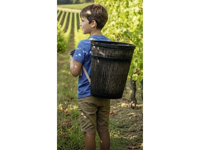 roto® Tragebütte 10 l Holzoptik, Polyethylen, für Trauben, 2100068190