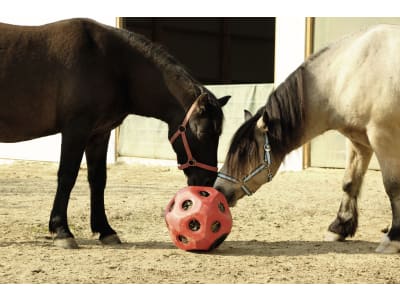 KERBL Futterball 400 mm rot, Fressöffnungen 19 St./60 mm, für Rinder und Pferde, 3210386 