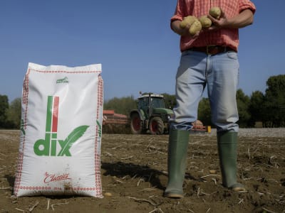 Italpollina DIX organisch-tierischer NPK 9+2+2 Naturdünger 25 kg Sack  Pellet