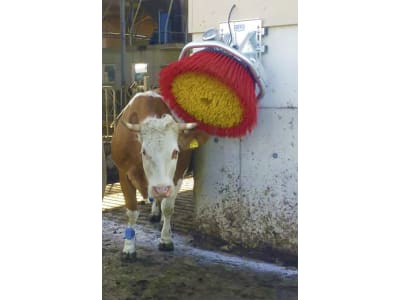 Suevia Kuhbürste "Easycleaner" 830 x 960 x 780 mm, Borstenbesatz hochfester Spezial-Kunststoff, rot/gelb, für Kühe, 130.5011