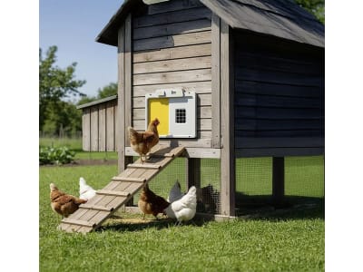 Hühnerklappe "All-in-one" 54 x 45 cm mit Solarmodul für Geflügel, von Chick'A®, 38595614001