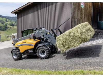 GIANT® Teleskoplader "GT5048"