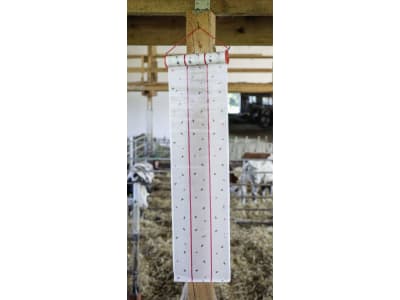 cit® Fliegenrolle "MuscaRoll" mit Metallhalter