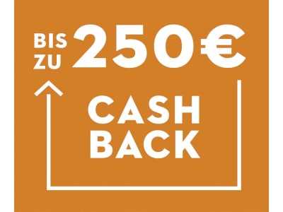 STIHL Akku-Niederdruckreiniger "RCA 20" Kaltwasser, mit 2 Akkus und Ladegerät, RA02 011 7610