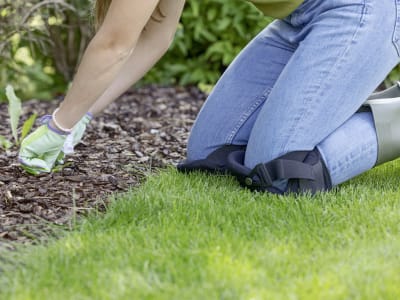 KERBL Knieschoner "ComfortKnee" 235 x 180 mm, 345113