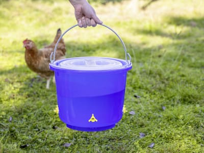 KERBL Geflügeltränkeeimer 12 l, blau, 70200