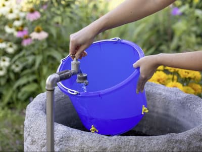 KERBL Geflügeltränkeeimer 12 l, blau, 70200