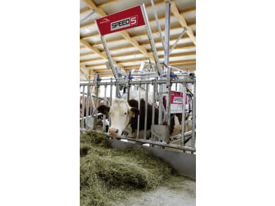 ROSENSTEINER Klauenpflegestand "Speed 5"