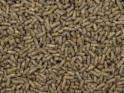 ringkanin Zucht (Vorteilspack) Kaninchenfutter, Nagerfutter, Hasenfutter für Zuchtkaninchen, Zwergkaninchen und Kleinnager Pellet 25 kg Sack