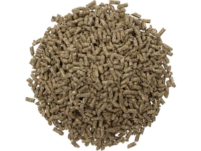 ringkanin Zucht (Vorteilspack) Kaninchenfutter, Nagerfutter, Hasenfutter für Zuchtkaninchen, Zwergkaninchen und Kleinnager Pellet 25 kg Sack