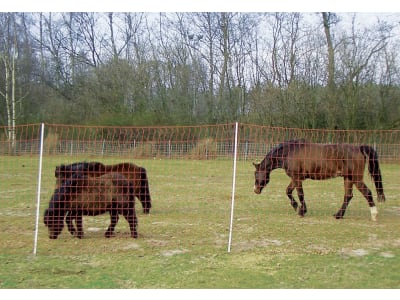 Pferdezaun "Euro Mustang Netz" stromführend Pferdezaun "Euro Mustang Netz" stromführend