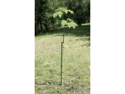 PlantaGard® Wild- und Fegeschutzspirale für Baumstämme bis ca. 3,5 cm