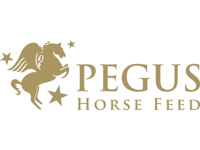 Pegus Logo