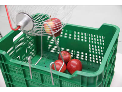 Feucht-Obsttechnik Roll-Blitz groß - Handsammler für Äpfel mit Teleskopstiel Obstsammler, Handsammler Feucht-Obsttechnik Roll-Blitz groß - Handsammler für Äpfel mit Teleskopstiel Obstsammler, Handsammler