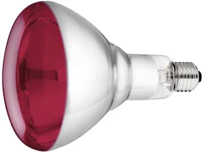 Philips Wärmelampe Hartglas 250 W, 22314