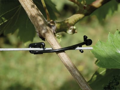 REMA Rebstar Drahtdurchmesser 2 – 3,1 mm Beutel REMA Rebstar Drahtdurchmesser 2 – 3,1 mm Beutel