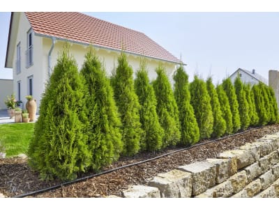 Gardena Micro-Drip-System Start Sets Pflanzreihen S 13010-20 Gardena Micro-Drip-System Start Sets Pflanzreihen S 13010-20