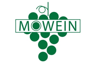 MOWEIN Logo