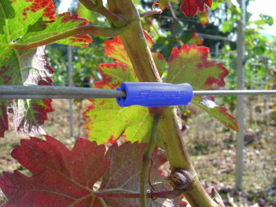 GRIPPLE® Twister® Sicherheitshülse GRIPPLE® Twister® Sicherheitshülse