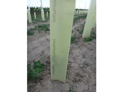 WitaPlant MV® Rebschutzsäule 60 cm WitaPlant MV® Rebschutzsäule 60 cm