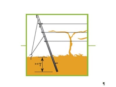 artos® Endpfahl Stahl (stückverzinkt) 65 x 42 mm 2,7 m EP1 artos® Endpfahl Stahl (stückverzinkt) 65 x 42 mm 2,7 m EP1