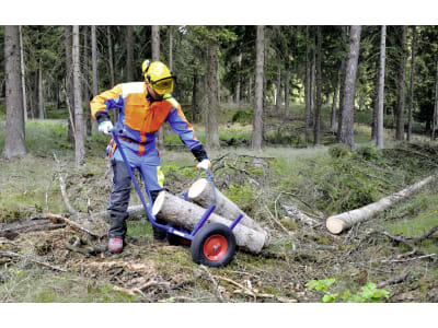 Holztrolley für Meterholzstämme bis zu 50 cm Durchmesser oder Holzbündel Holztrolley für Meterholzstämme bis zu 50 cm Durchmesser oder Holzbündel