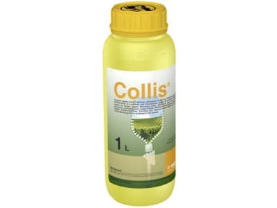 BASF Collis® BASF Collis®