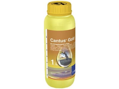 BASF Cantus® Gold BASF Cantus® Gold