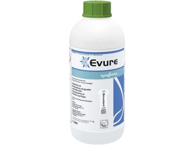 Syngenta EVURE   