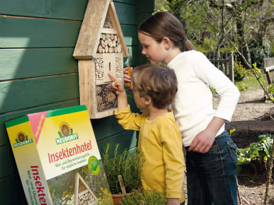 Insektenhotel 36 x 56 x 10 cm Insektenhotel 36 x 56 x 10 cm