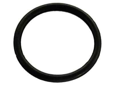 Holder O-Ring 18 x 2 mm 014711, für Düsenträger