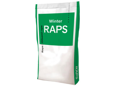 Winterraps Saatgut MELODIE Winterraps Saatgut MELODIE