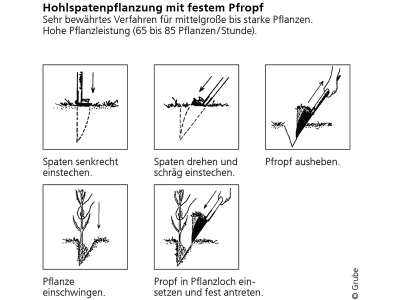 Hohlspaten "VSA nach Junack" Blatt 300 x 165 mm, 61-070 Hohlspaten "VSA nach Junack" Blatt 300 x 165 mm, 61-070