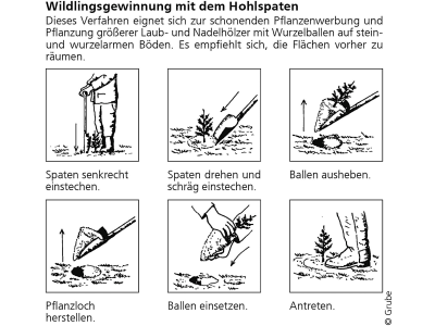 Hohlspaten "VSA nach Junack" Blatt 300 x 165 mm, 61-070 Hohlspaten "VSA nach Junack" Blatt 300 x 165 mm, 61-070