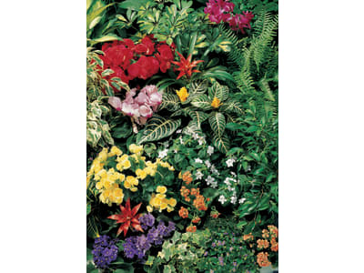 Klasmann-Deilmann Florabella® Blumenerde 70 l  Anzuchterde