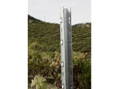 VitiFort® Reihenpfahl Baustahl (bandverzinkt) 50 x 36 mm V80 36/50   