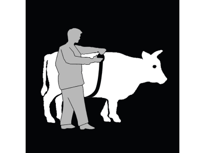 KERBL Viehmaßband "Animeter" 2,5 m, für Rinder und Schweine, 219 KERBL Viehmaßband "Animeter" 2,5 m, für Rinder und Schweine, 219