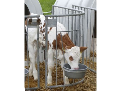 Bonimal FEED RB Milch Opti Kälbermilch mit 0 % Magermilchpulver 25 kg Sack