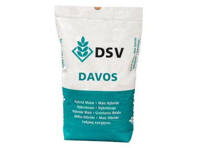 Mais-Saatgut DSV Davos (S210 K220) Mais-Saatgut DSV Davos (S210 K220)