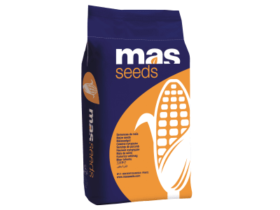 Saatmais Milkmax (ca. S 340) Saatmais Milkmax (ca. S 340)
