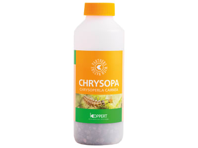 KOPPERT Chrysopa   1.000 Chrysoperla carnea Larven KOPPERT Chrysopa   1.000 Chrysoperla carnea Larven